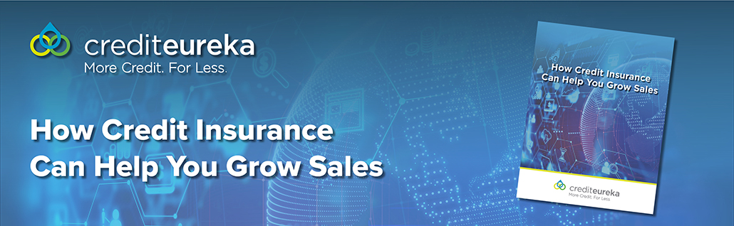 Grow Sales with Credit Insurance